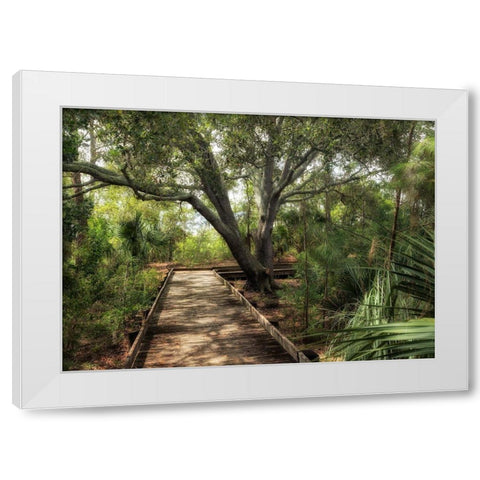 Tropical Walk White Modern Wood Framed Art Print by Head, Danny