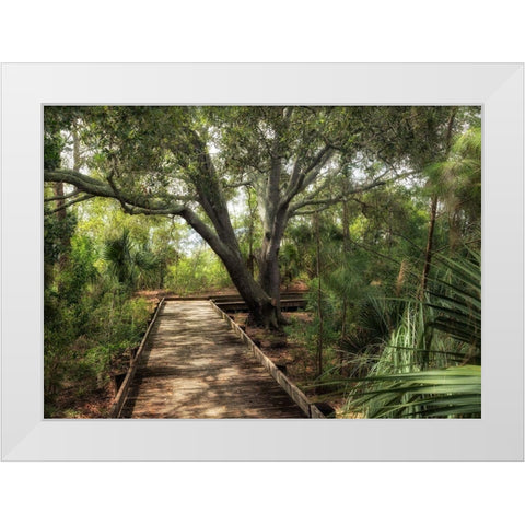 Tropical Walk White Modern Wood Framed Art Print by Head, Danny