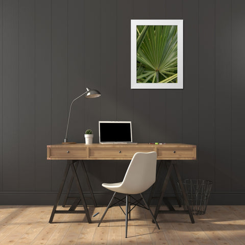 Palm Detail III White Modern Wood Framed Art Print by Head, Danny