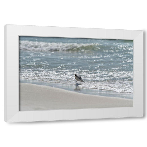 Wading I White Modern Wood Framed Art Print by Head, Danny