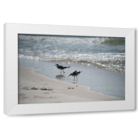 Wading II White Modern Wood Framed Art Print by Head, Danny