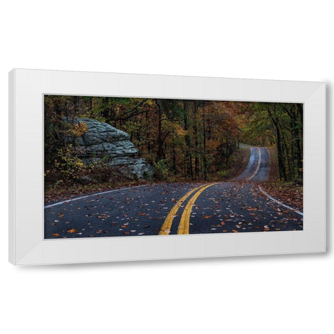 Autumn Drive III White Modern Wood Framed Art Print by Head, Danny