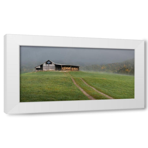 Fog at the Farm White Modern Wood Framed Art Print by Head, Danny