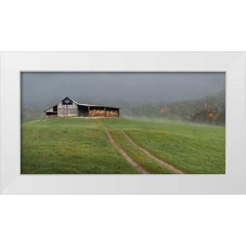 Fog at the Farm White Modern Wood Framed Art Print by Head, Danny