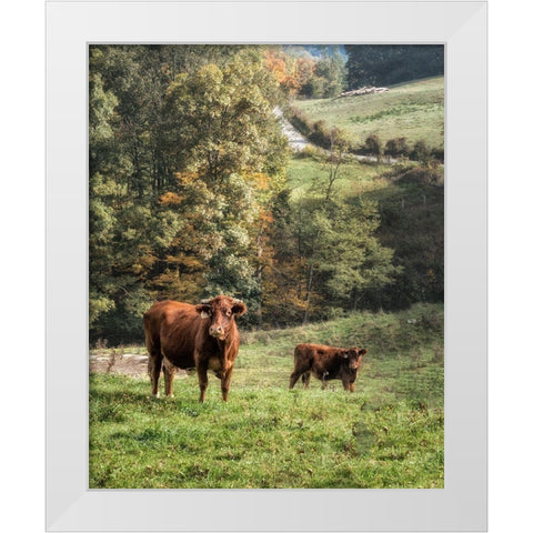 Moo White Modern Wood Framed Art Print by Head, Danny