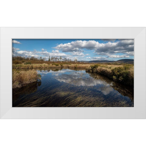 Blackwater Creek White Modern Wood Framed Art Print by Head, Danny