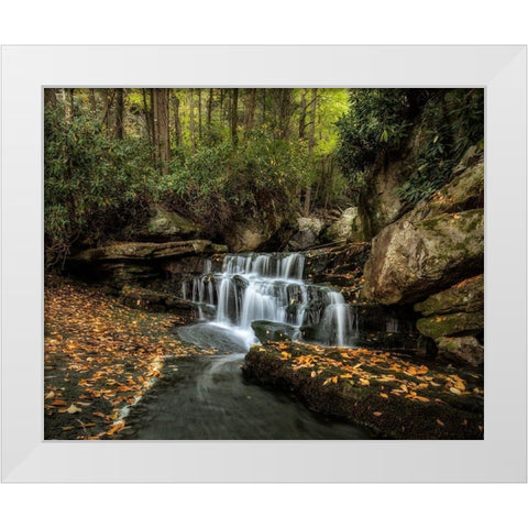 Lower Elakala Falls White Modern Wood Framed Art Print by Head, Danny