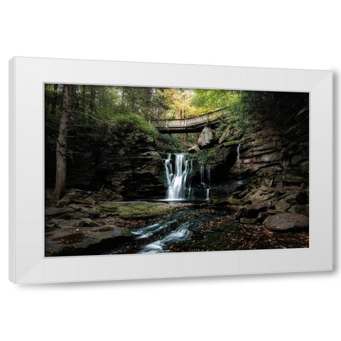 Elakala Falls II White Modern Wood Framed Art Print by Head, Danny