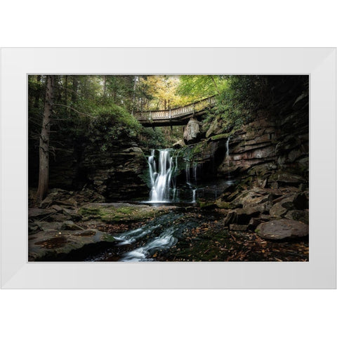 Elakala Falls II White Modern Wood Framed Art Print by Head, Danny
