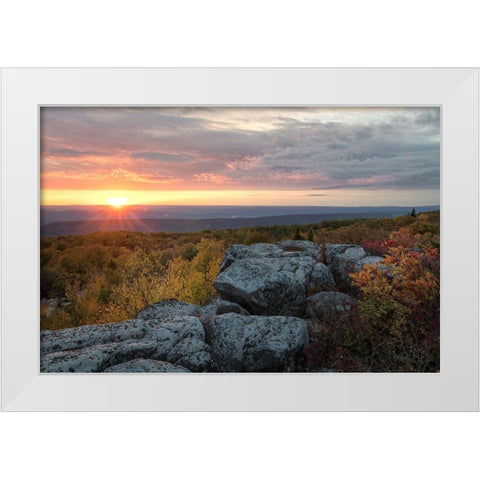 Yellow Dawn II White Modern Wood Framed Art Print by Head, Danny