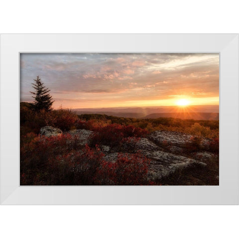 New Day II White Modern Wood Framed Art Print by Head, Danny