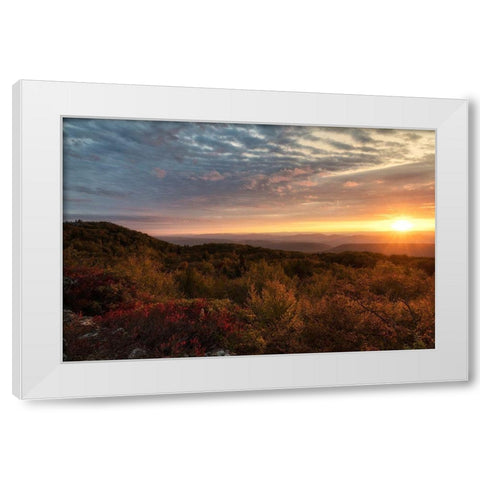 Beginnings White Modern Wood Framed Art Print by Head, Danny