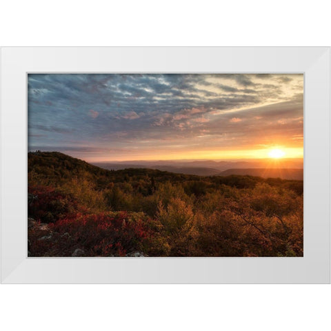 Beginnings White Modern Wood Framed Art Print by Head, Danny