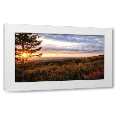 Coming Alive White Modern Wood Framed Art Print by Head, Danny
