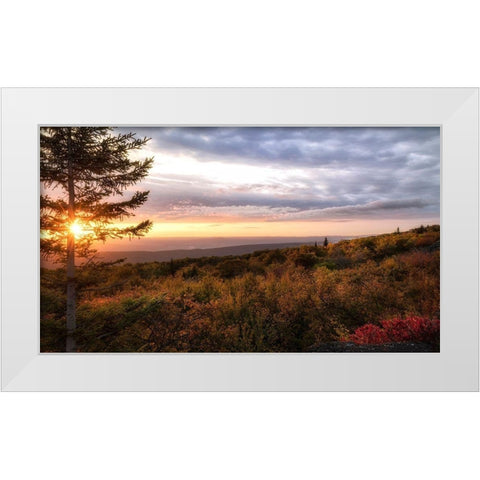 Coming Alive White Modern Wood Framed Art Print by Head, Danny
