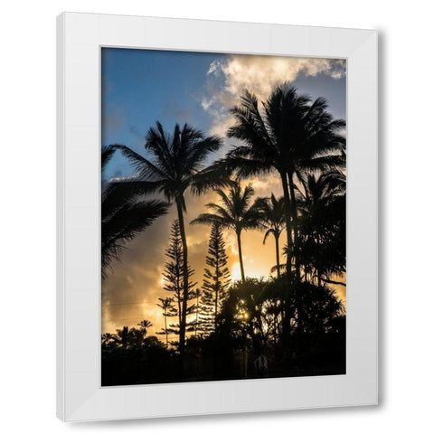 Palm Silouette II White Modern Wood Framed Art Print by Head, Danny