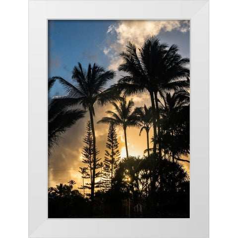 Palm Silouette II White Modern Wood Framed Art Print by Head, Danny