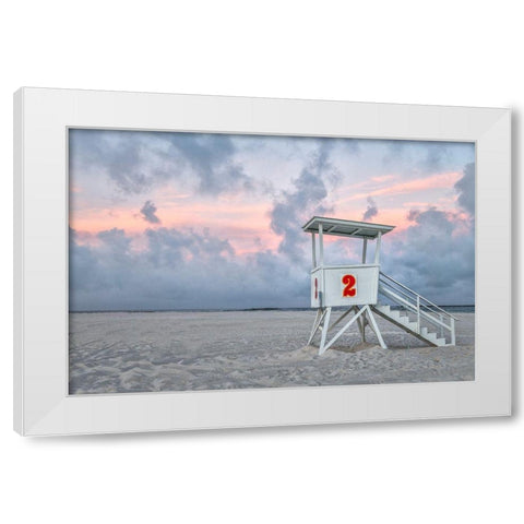 Standing Guard I White Modern Wood Framed Art Print by Head, Danny