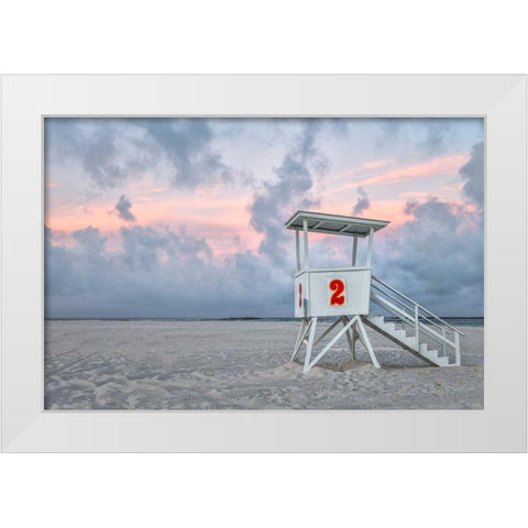 Standing Guard I White Modern Wood Framed Art Print by Head, Danny