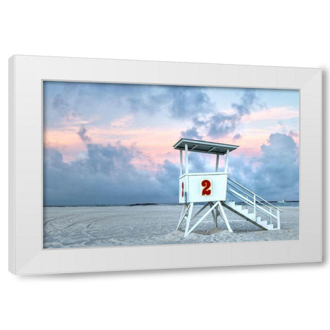 Standing Guard II White Modern Wood Framed Art Print by Head, Danny