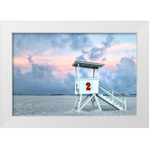 Standing Guard II White Modern Wood Framed Art Print by Head, Danny