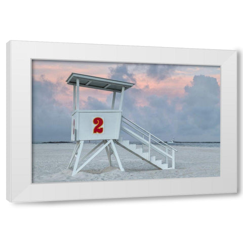 Standing Guard III White Modern Wood Framed Art Print by Head, Danny