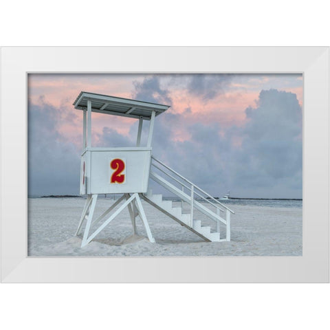 Standing Guard III White Modern Wood Framed Art Print by Head, Danny