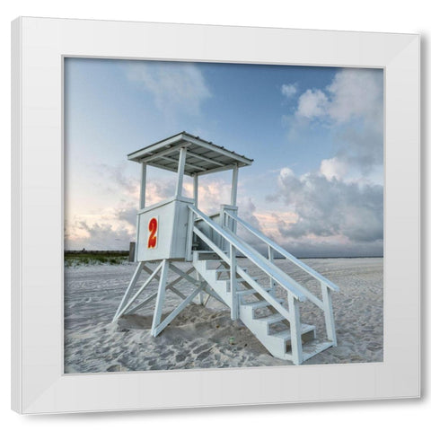Standing Guard IV White Modern Wood Framed Art Print by Head, Danny