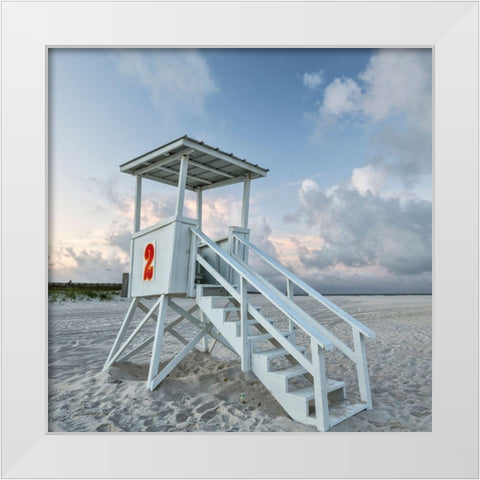 Standing Guard IV White Modern Wood Framed Art Print by Head, Danny