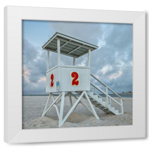 Standing Guard V White Modern Wood Framed Art Print by Head, Danny