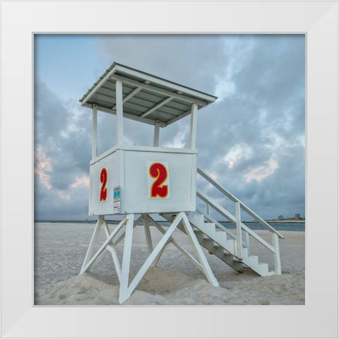 Standing Guard V White Modern Wood Framed Art Print by Head, Danny