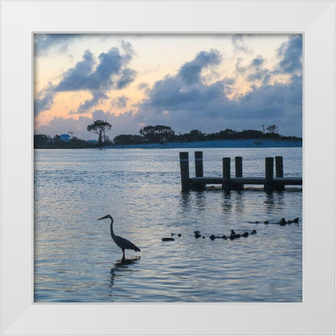 Blue Heron White Modern Wood Framed Art Print by Head, Danny