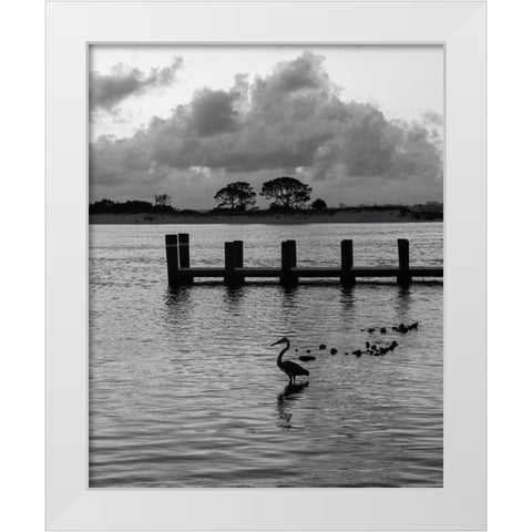 Morning at the Pass White Modern Wood Framed Art Print by Head, Danny