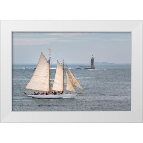 Smooth Sailing White Modern Wood Framed Art Print by Head, Danny