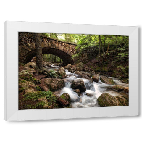 Stone Bridge I White Modern Wood Framed Art Print by Head, Danny