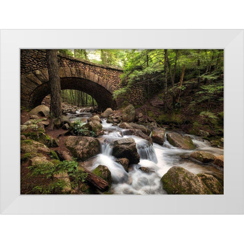 Stone Bridge I White Modern Wood Framed Art Print by Head, Danny