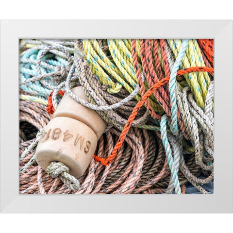 Knowing the Ropes I White Modern Wood Framed Art Print by Head, Danny