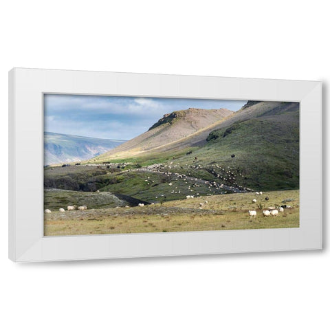 Herding Sheep II White Modern Wood Framed Art Print by Head, Danny