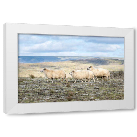 Three Friends White Modern Wood Framed Art Print by Head, Danny