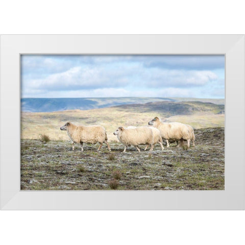 Three Friends White Modern Wood Framed Art Print by Head, Danny