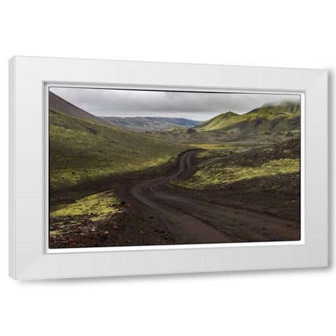 Chocolate Mint White Modern Wood Framed Art Print by Head, Danny