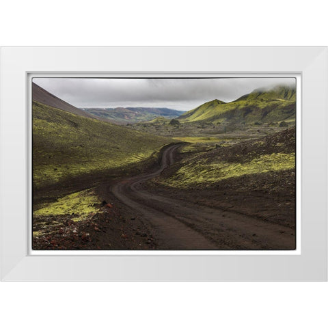 Chocolate Mint White Modern Wood Framed Art Print by Head, Danny