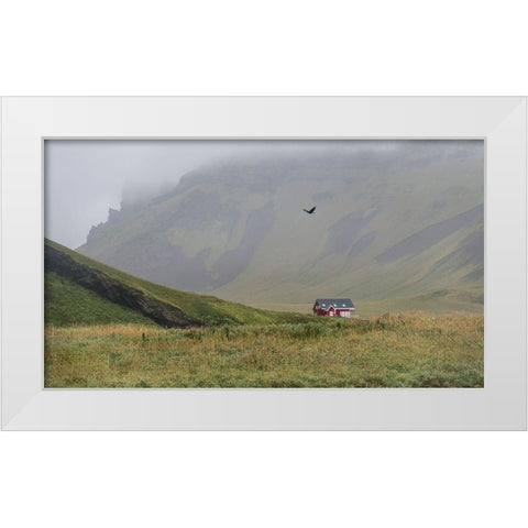 Flying High White Modern Wood Framed Art Print by Head, Danny