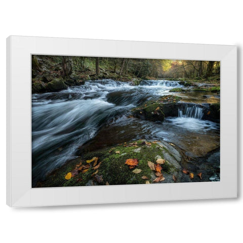 Mossy Rocks White Modern Wood Framed Art Print by Head, Danny