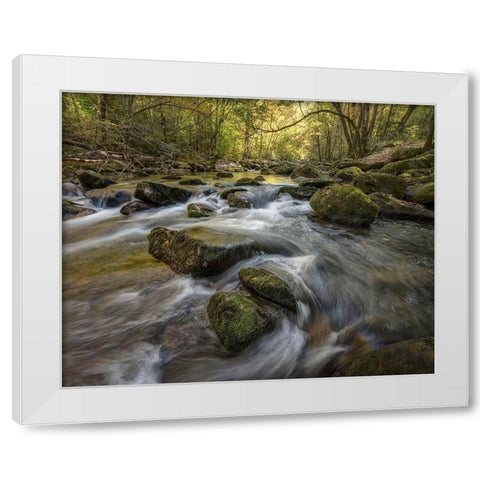 Under the Laurel White Modern Wood Framed Art Print by Head, Danny