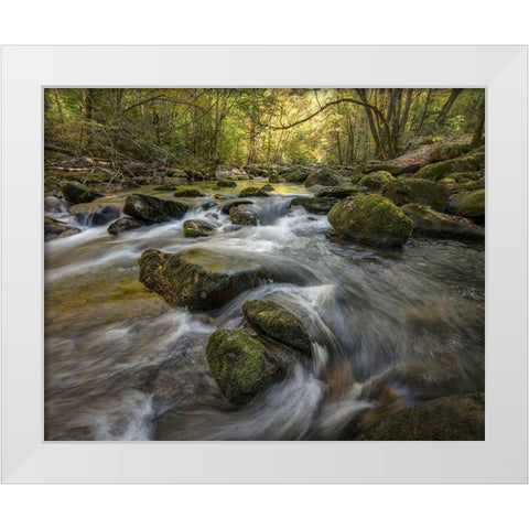 Under the Laurel White Modern Wood Framed Art Print by Head, Danny