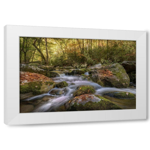 Listen Closely White Modern Wood Framed Art Print by Head, Danny