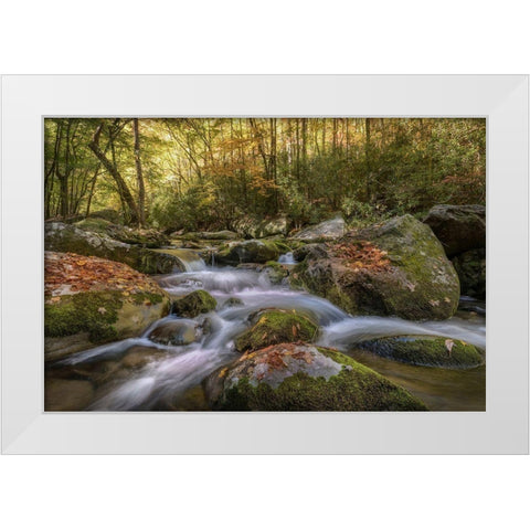 Listen Closely White Modern Wood Framed Art Print by Head, Danny