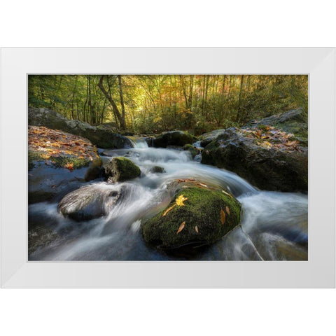 Yellow Leaf White Modern Wood Framed Art Print by Head, Danny