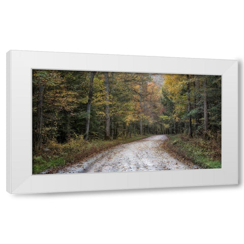 Crusing Greenbrier I White Modern Wood Framed Art Print by Head, Danny